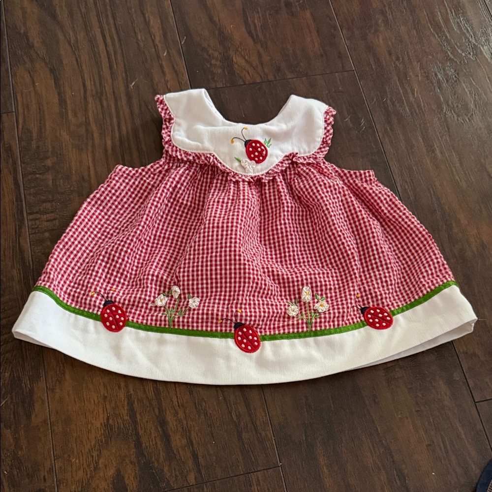 Lady Bug Red and White Gingham Dress